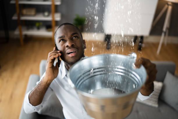 Best Basement water damage restoration  in New Baltimore, MI