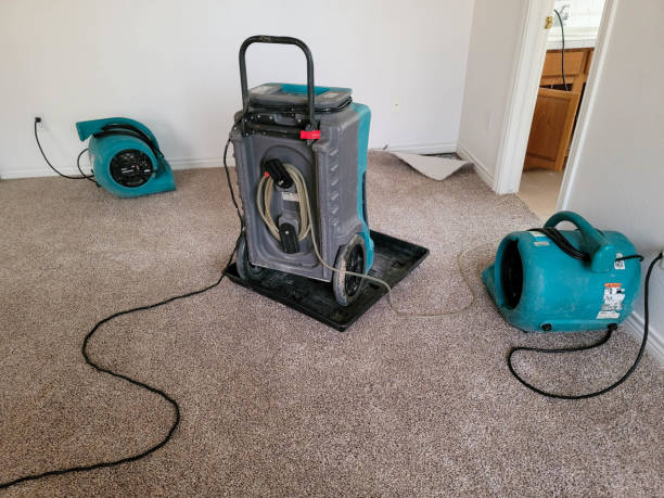 Best Emergency water damage restoration  in New Baltimore, MI