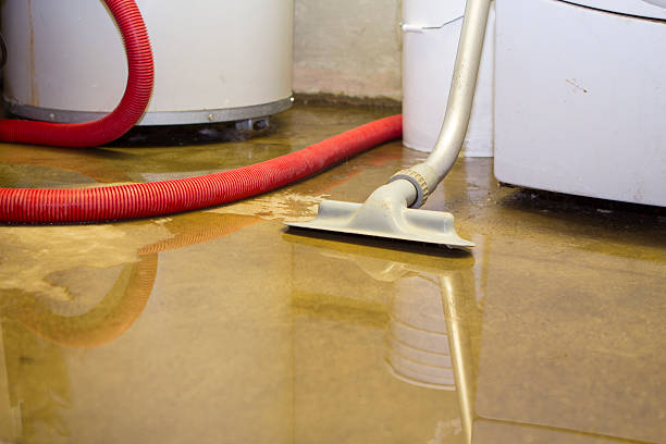Best Flood restoration services  in New Baltimore, MI