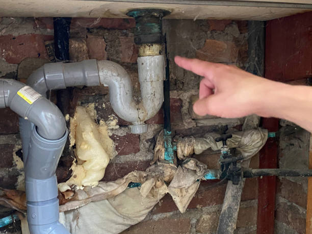 Best Carpet water damage restoration  in New Baltimore, MI